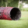 Dogsworld Agility Tunnel 5,5 M 1 Dogsworld Agility Tunnel 5,5 M -Hunter || Trixie || Pinewood Verkäufe dogsworld agility tunnel 6440118xBEdeXD41jpaS