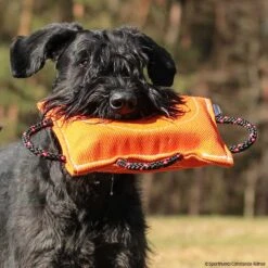 FreshLine Keilförmiges Beißkissen Nylcot 7 FreshLine Keilförmiges Beißkissen Nylcot -Hunter || Trixie || Pinewood Verkäufe freshline keilfoermigesbeisskissen p4dc5288 7425065yM2F6JYXoW0zq