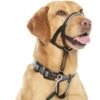 Original Halti Headcollar