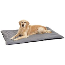 Karlie Liegedecke Doc Bed