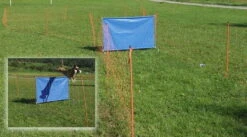 Hunter || Trixie || Pinewood Verkäufe -Hunter || Trixie || Pinewood Verkäufe mobiler zaun 7355100 2haXAlCtFJgnUY