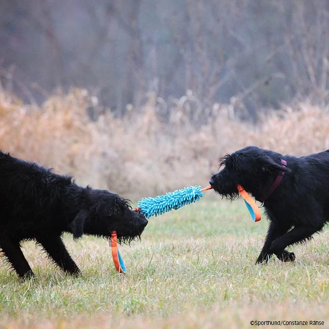 MOPIK KRABIK 6 MOPIK KRABIK – Bild 4