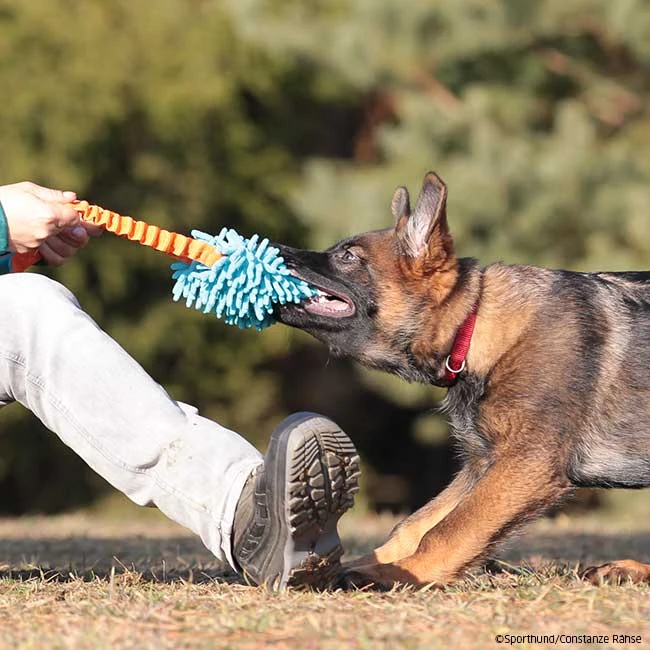 MOPIK KRABIK 5 MOPIK KRABIK – Bild 3