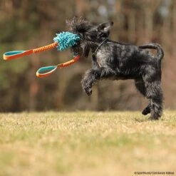 MOPIK KRABIK 11 MOPIK KRABIK -Hunter || Trixie || Pinewood Verkäufe mopik krabik orang blau p4dc5387 7021325cX8i6p3N6jj4N