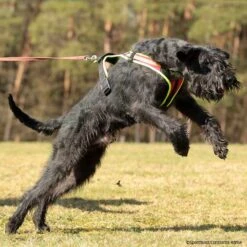 Hundeführgeschirr Follow Sport PLUS -Hunter || Trixie || Pinewood Verkäufe niggeloh followsportplus p4dc5266 7017055H7K3jMRJJkVvk