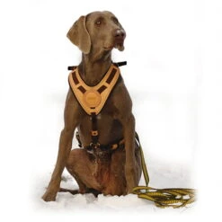 Niggeloh Geschirr Mantrailing -Hunter || Trixie || Pinewood Verkäufe niggeloh geschirr mantrailing anwendung 7017100wkXplHKuEBTA8