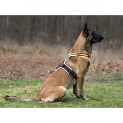 Hundeführgeschirr Follow Sport PLUS -Hunter || Trixie || Pinewood Verkäufe niggeloh hundefuehrgeschirr follow sport plus anwendung2 7017055