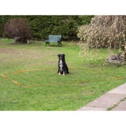 Obedience Starter-Set -Hunter || Trixie || Pinewood Verkäufe obedience start set anwendung procyon 7030363