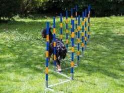 Profi Agility Slalom 7 Profi Agility Slalom -Hunter || Trixie || Pinewood Verkäufe procyon slalom 2 7030360