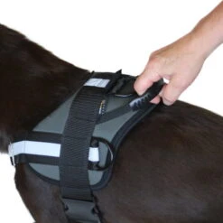 Sporthund Arbeitsgeschirr -Hunter || Trixie || Pinewood Verkäufe sporthund arbeitsgeschirr detail griff 7021881tBHsjayKEBIPP