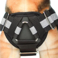 Sporthund Arbeitsgeschirr -Hunter || Trixie || Pinewood Verkäufe sporthund arbeitsgeschirr detail vorne 7021881v404MOGi5Fs5Y