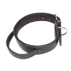 Sporthund Hetzhalsband Mit Handgriff