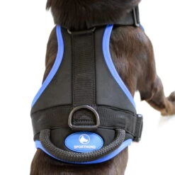 Sporthund Nylon Geschirr -Hunter || Trixie || Pinewood Verkäufe sporthund nylon geschirr draufsicht 7262055i0r4spi9zpzYb