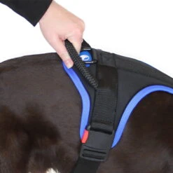 Sporthund Nylon Geschirr -Hunter || Trixie || Pinewood Verkäufe sporthund nylon geschirr griff 7262055Hc4ZJVZuY0cbG