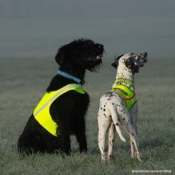 Visupart Hundebody Standard Signalgelb -Hunter || Trixie || Pinewood Verkäufe visupart hundebodystandard crt 7999 4598095zzGa4OOjbC27B