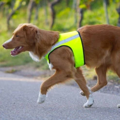 Visupart Hundebody Standard Signalgelb -Hunter || Trixie || Pinewood Verkäufe weste standard visupart hundebody hundebild 4598099mtZiIhqtauHzCt